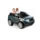  Range Rover Sport (9250)