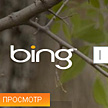   Bing:  HTML5    Bing Deals