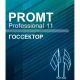  Professional  11 (4606892013034 00008sng)