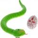  Rattle Snake ()